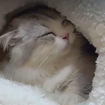 FluffyCave