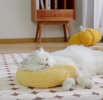 Snooze Cloud